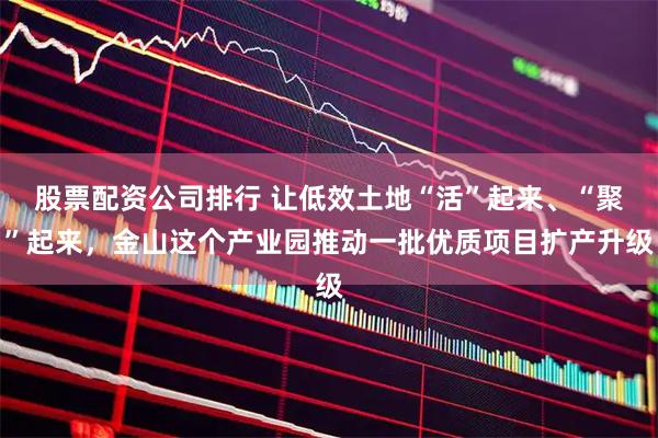 股票配资公司排行 让低效土地“活”起来、“聚”起来，金山这个产业园推动一批优质项目扩产升级